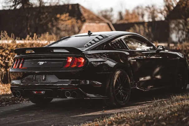 Bizz Casino Aip Android/iOS